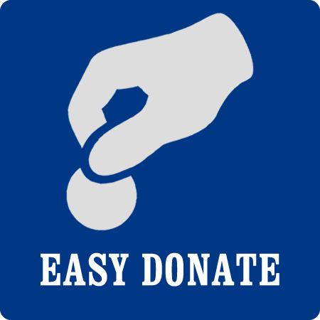 Боковое изображение для easydonate. ИЗИ донат. Картинки для easydonate. Иконки для донатов easydonate. Easy donate